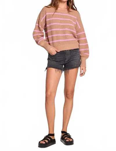 Saltwater Luxe Opal Sweater Top In Latte In Pink
