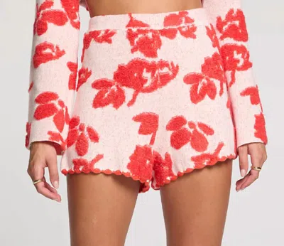 Saltwater Luxe Ophelia Sweater Shorts In Ruby In Pink