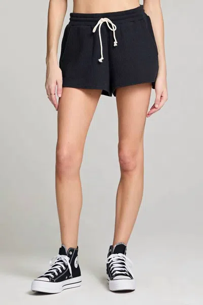 Saltwater Luxe Pull On Shorts In Black
