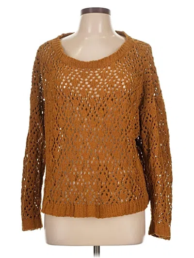 Pre-owned Saltwater Luxe Pullover Sweater In Brown