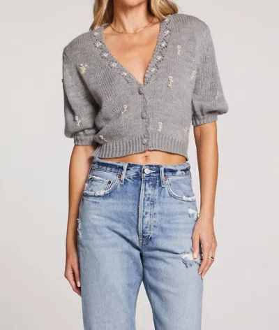 Saltwater Luxe Short Sleeve Embroidered Sweater In Grey In Gray