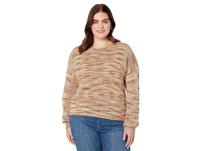Saltwater Luxe Wendi Sweater Women's Brown Ribbed Cuffs Pullover Jdm884