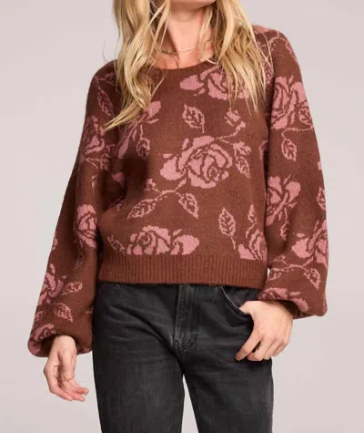 Saltwater Luxe Women's Noele Sweater In Brown