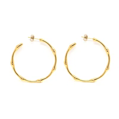 Salty Cali Women's Gold Bamboo Hoops - Salty Babes
