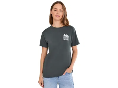 Salty Crew Aloha Breeze Boyfriend T-shirts Women's Clothing Charcoal: Md, Cotton