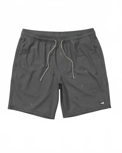 Salty Crew Men's Small Kine Volley Swim Short In Olive In Gray
