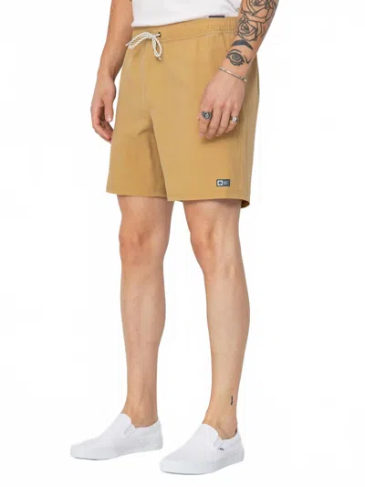 Salty Crew Seadog Volley Shorts In Beige In Brown