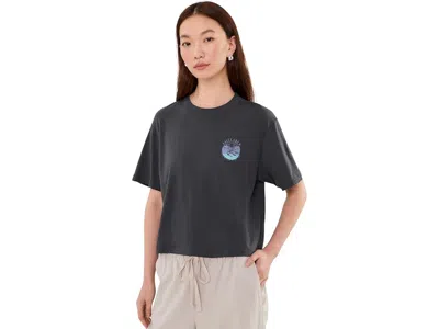 Salty Crew Tropics Skimmer T-shirts Women's Clothing Charcoal: Lg, Cotton In Gray