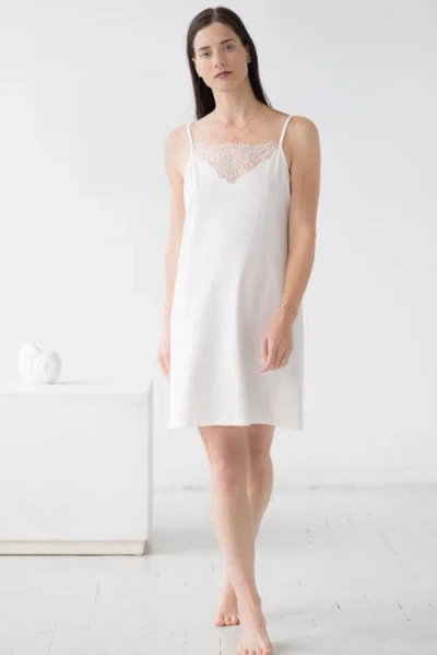 Salua Zuma Soft Lace Chemise In Multi