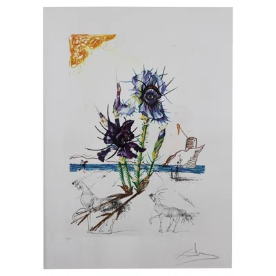 Pre-owned Salvador Dali « Iris Dali's Youth » Lithograph 20th Century Signed In Gray