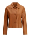 Salvatore Santoro Leather Jacket In Brown