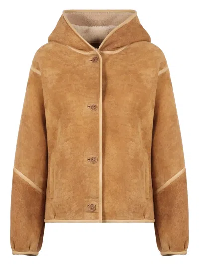 Salvatore Santoro Shearling-trim Suede Jacket In Brown