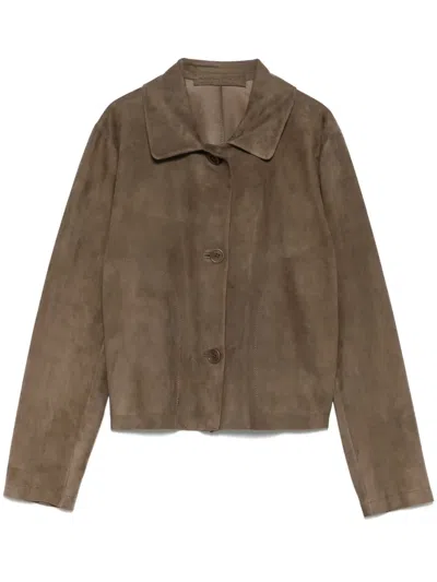 Salvatore Santoro Suede Cropped Jacket In 褐色