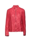 Salvatore Santoro Woman Jacket Red Size 6 Ovine Leather In Red