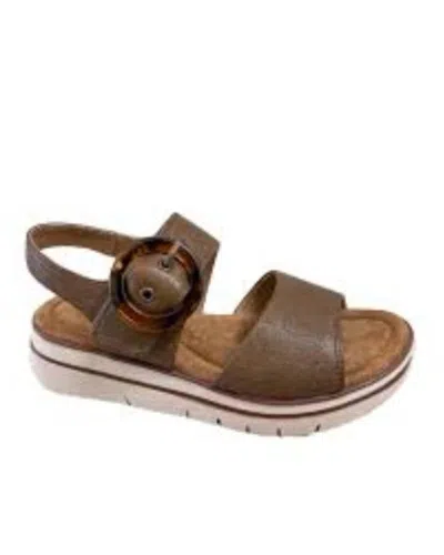 Salvia Women's Arlo Low Wedge Sandal In Nuthatch In Multi