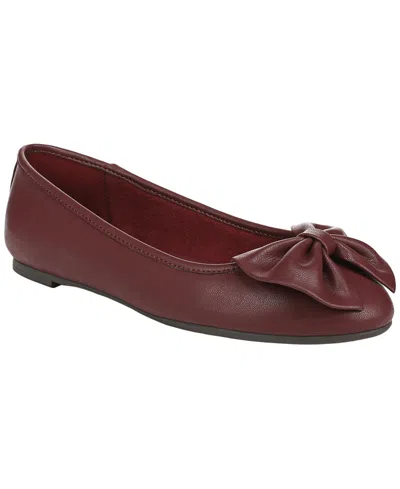 Sam & Libby Women's Carlin Ballet Flats In Brown