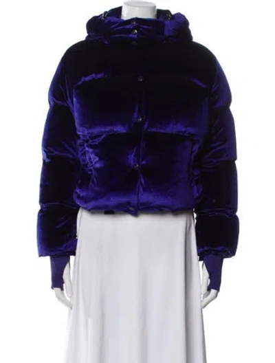 Pre-owned Sam Down Jacket In Blue