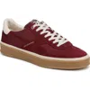 Sam Edelman Althea Sneaker In Burgundy