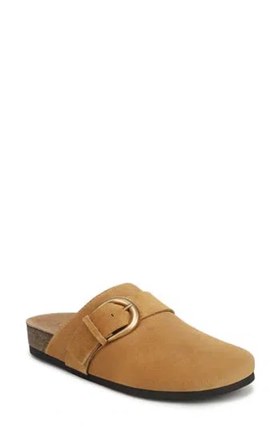 Sam Edelman Alyce Leather Mule In Brown