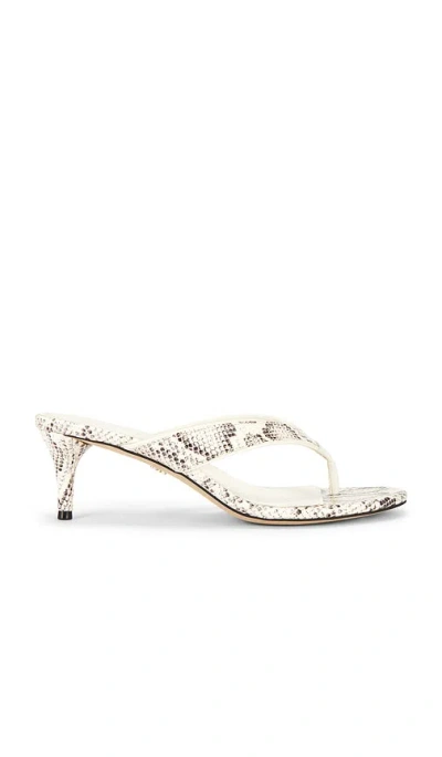 Sam Edelman Amie 샌들 In Multi