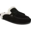 Sam Edelman Astrid Genuine Shearling Lined Mule In Black