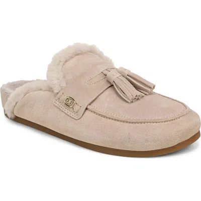 Sam Edelman Astrid Genuine Shearling Lined Mule In Sesame