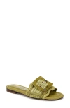 Sam Edelman Bambi Raffia Buckle Slide Sandal In Green