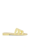 Sam Edelman Bay Jelly Slide Sandal In Lemon