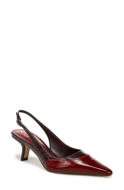 Sam Edelman Bayley Pointed Toe Slingback Pump In Cabernet Red/parisian Plum