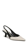Sam Edelman Bayley Pointed Toe Slingback Pump In Modern Ivory/black