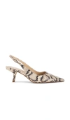 Sam Edelman Bianka Slingback Pump Roccia Python Leather In Beige