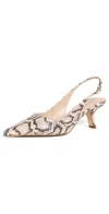Sam Edelman Bianka Slingback Pump Roccia Python Leather In Roccia