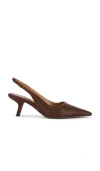 Sam Edelman Bianka Slingback Heel In Animal Print