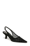 Sam Edelman Bianka Slingback Mesh Pointed Toe Pump In Black