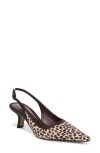 Sam Edelman Bianka Slingback Mesh Pointed Toe Pump In Multi