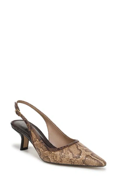 Sam Edelman Bianka Slingback Mesh Pointed Toe Pump In Multi