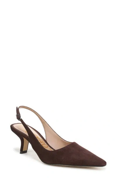 Sam Edelman Bianka Slingback Pointed Toe Pump In Brown