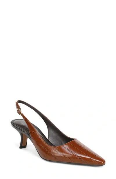 Sam Edelman Bianka Slingback Pointed Toe Pump In Brown