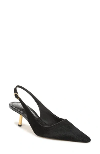 Sam Edelman Bianka Slingback Pump In Black