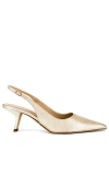Sam Edelman Bianka Slingback Pump Cappuccino Suede 12.0 In Gold Leaf