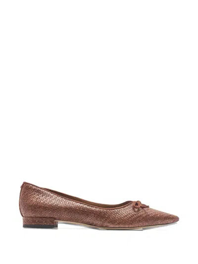 Sam Edelman Bow Pointed Ballet Flat Pumps In Brown