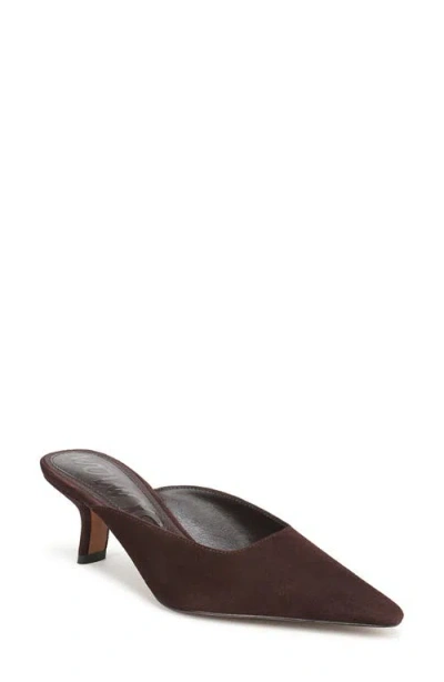 Sam Edelman Brandy Pointed Toe Mule In Brown