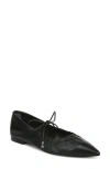 Sam Edelman Bri Mary Jane Pointed Toe Flat In Black