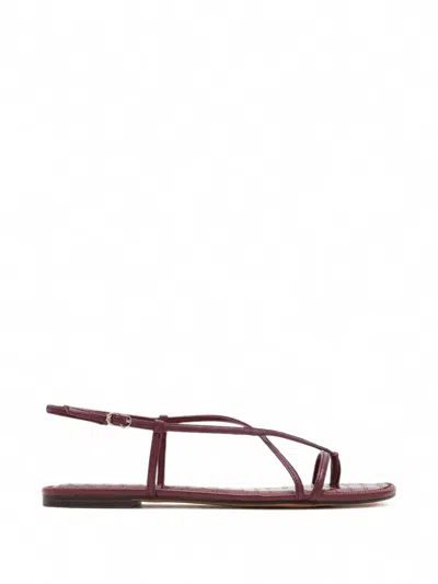 Sam Edelman Calla Croc-effect Leather Flat Sandals In Red