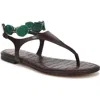 Sam Edelman Canna Ankle Strap Sandal In Brown
