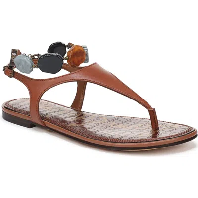 Sam Edelman Canna Ankle Strap Sandal In Brown