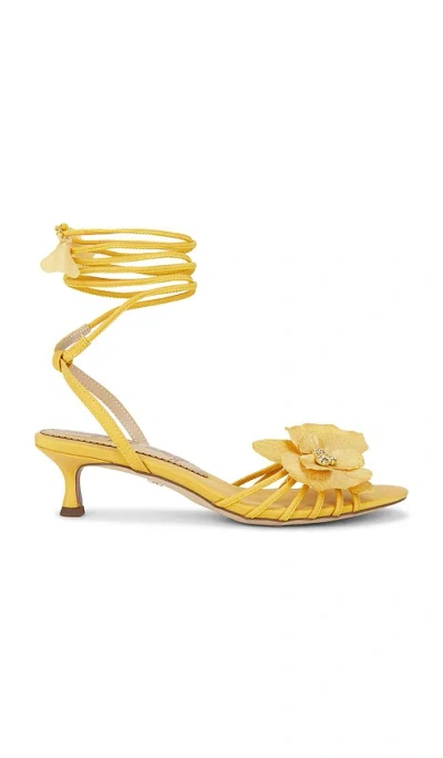 Sam Edelman Carla Sandal In Yellow