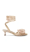 Sam Edelman Carla Lace Up Kitten Heel Ecru Beige Silk In Neutral