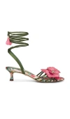 Sam Edelman Carla Lace Up Kitten Heel Green Agave Satin In Green