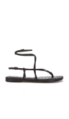 Sam Edelman Clarra 샌들 In Brown